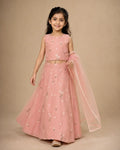 Blush pink floral embroidered Mul Chanderi lehenga set for girls with dupatta