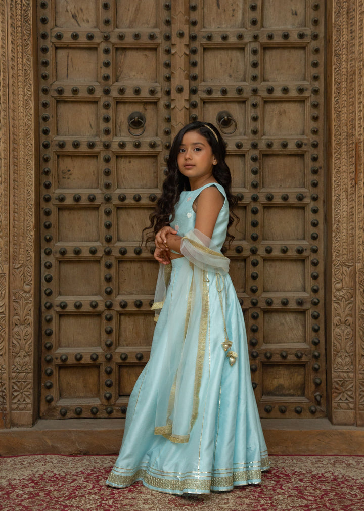 Blue Heart Lehenga
