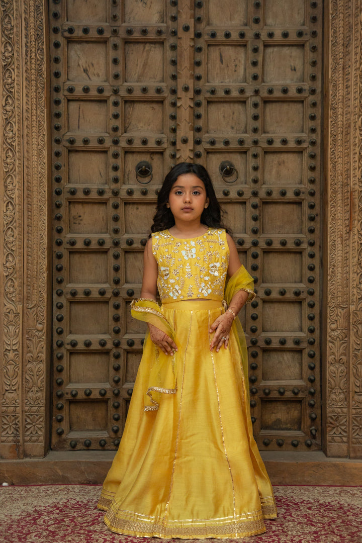 Bagh Yellow Lehenga