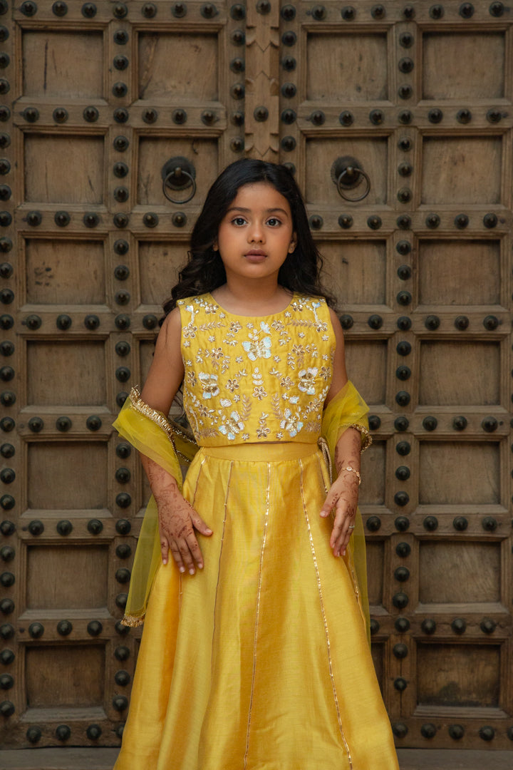 Bagh Yellow Lehenga