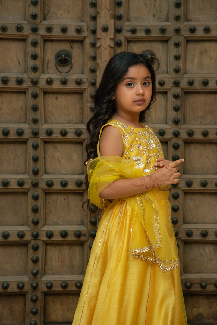 Bagh Yellow Lehenga