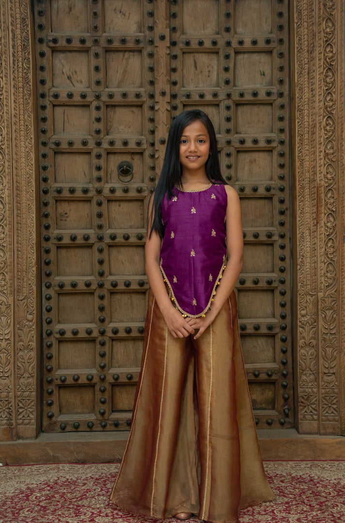 Payal Indo Purple
