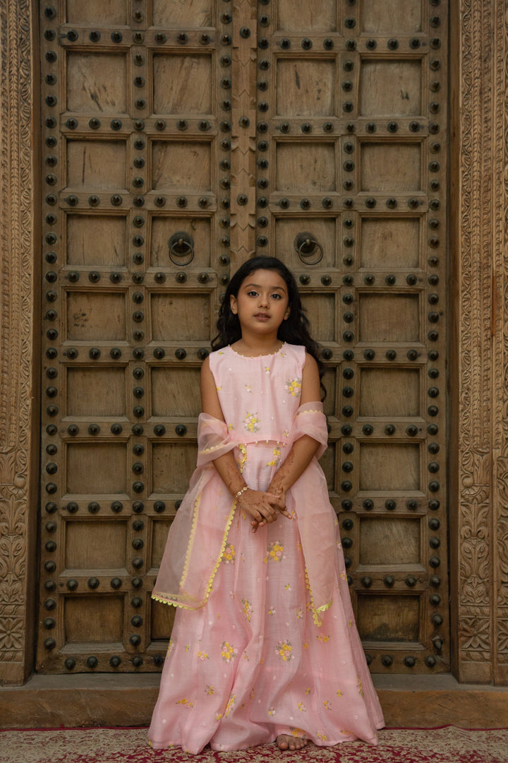 Mul Pink Lehenga