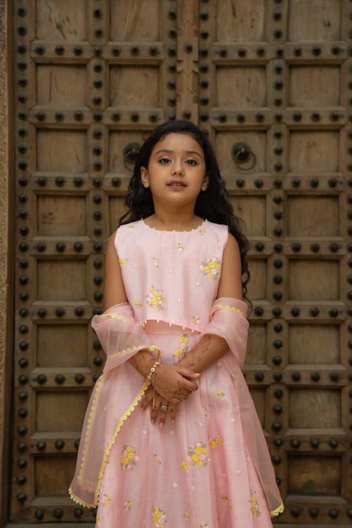 Mul Pink Lehenga