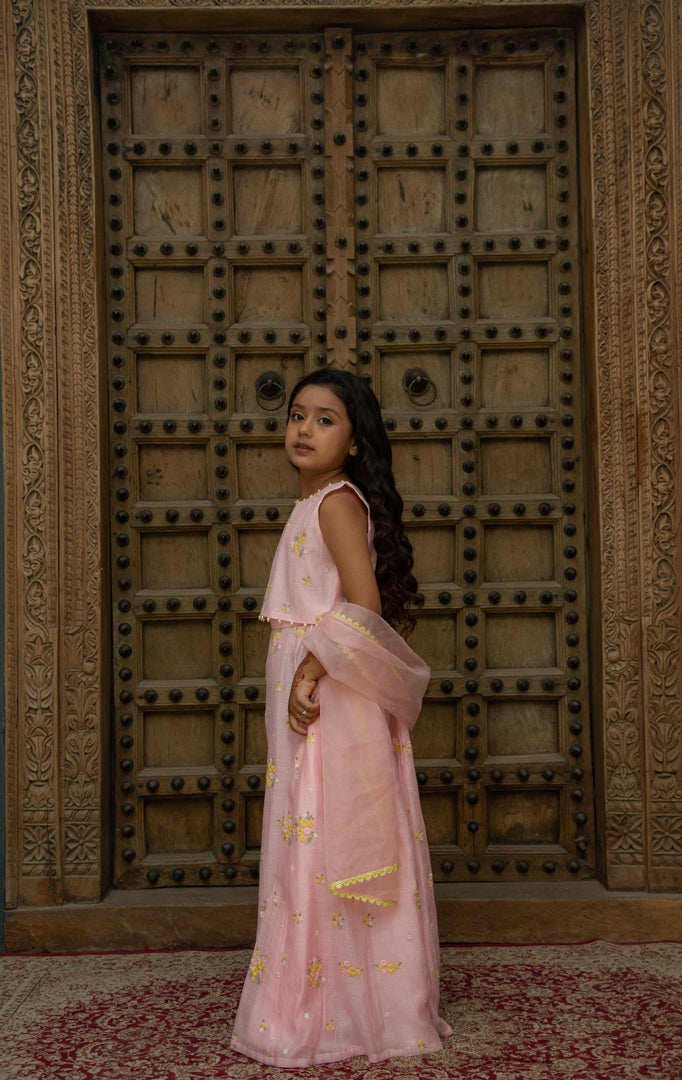 Mul Pink Lehenga