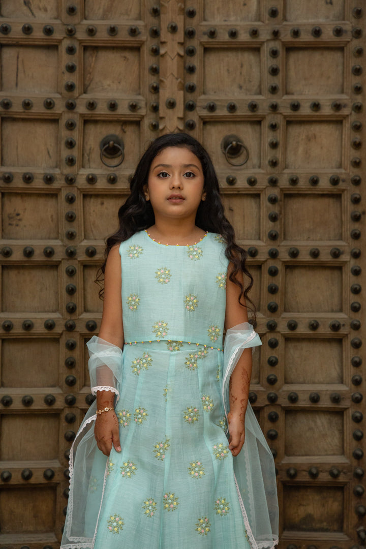 Mul Blue Lehenga