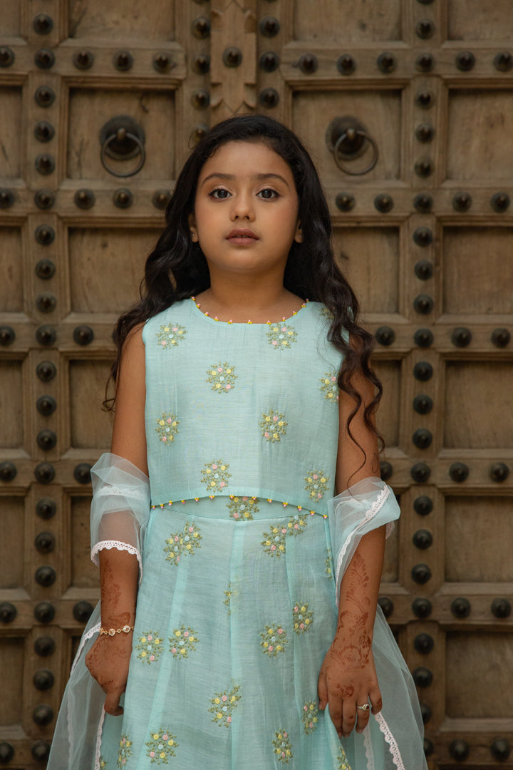 Mul Blue Lehenga