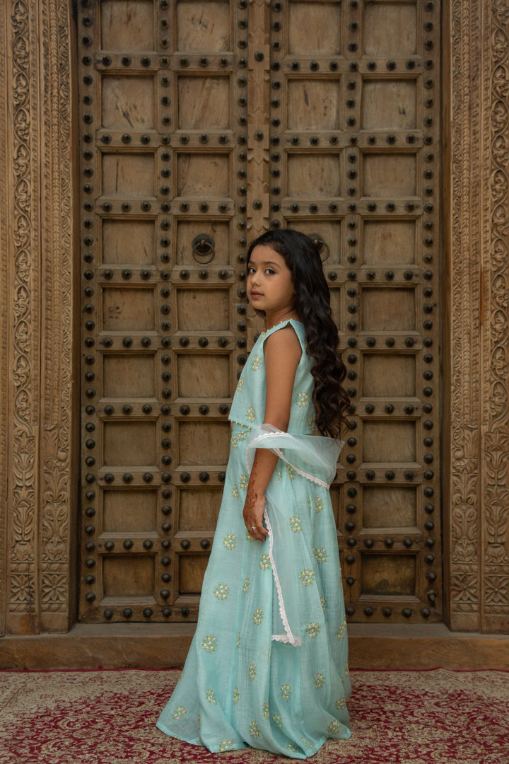 Mul Blue Lehenga