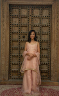 Organza Peach Sharara
