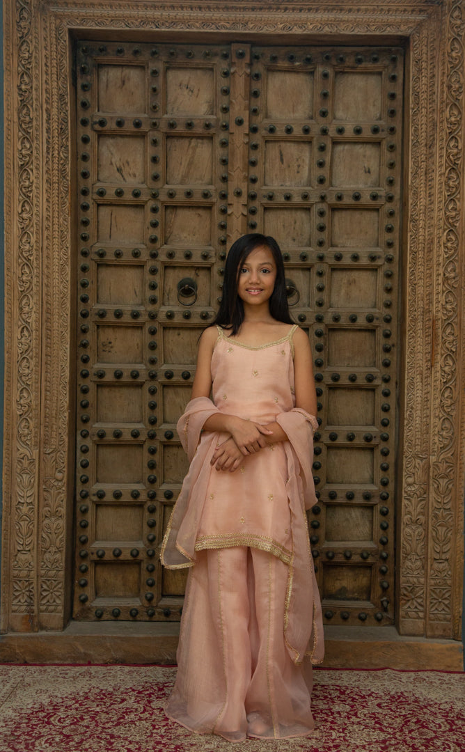 Organza Peach Sharara