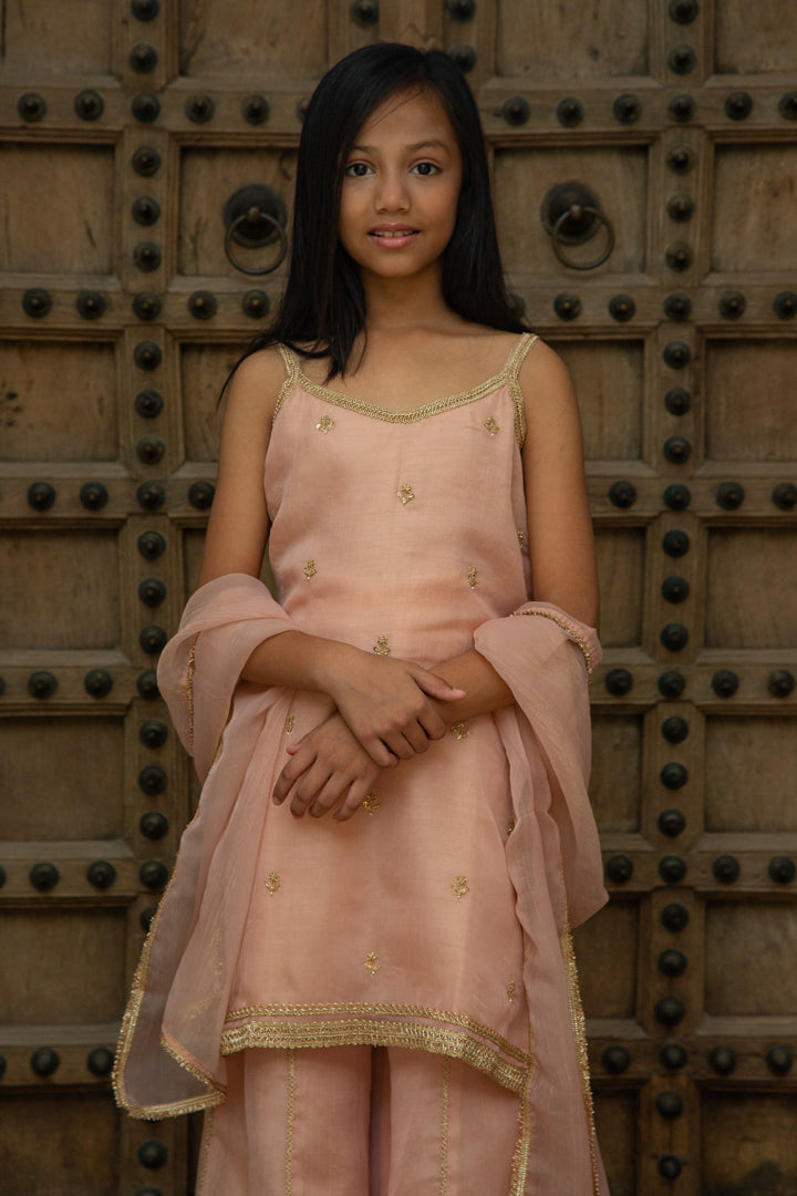 Organza Peach Sharara