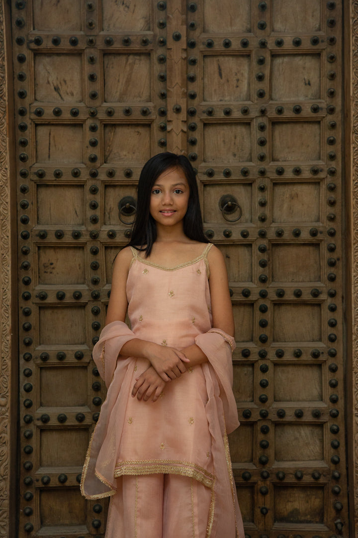 Organza Peach Sharara